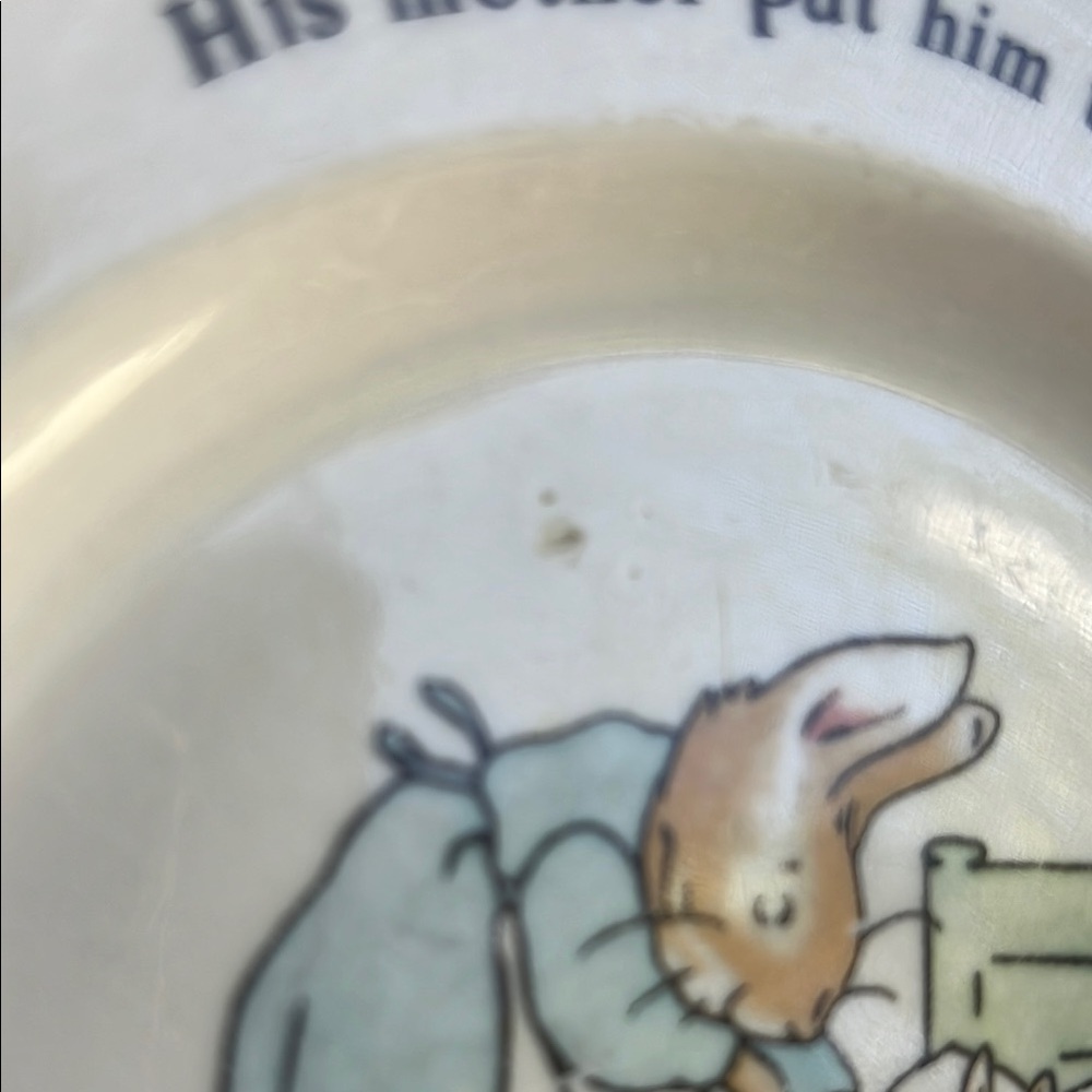 Wedgwood Peter Rabbit Collection Plate - Picture 8 of 8
